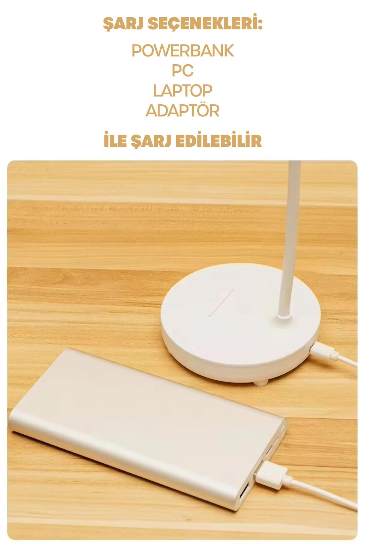 Şarjlı Masa Lambası Işık Ayarlanabilir Telefon Tutuculu Ders Çalışma Okuma Işığı Beyaz Işık 0644