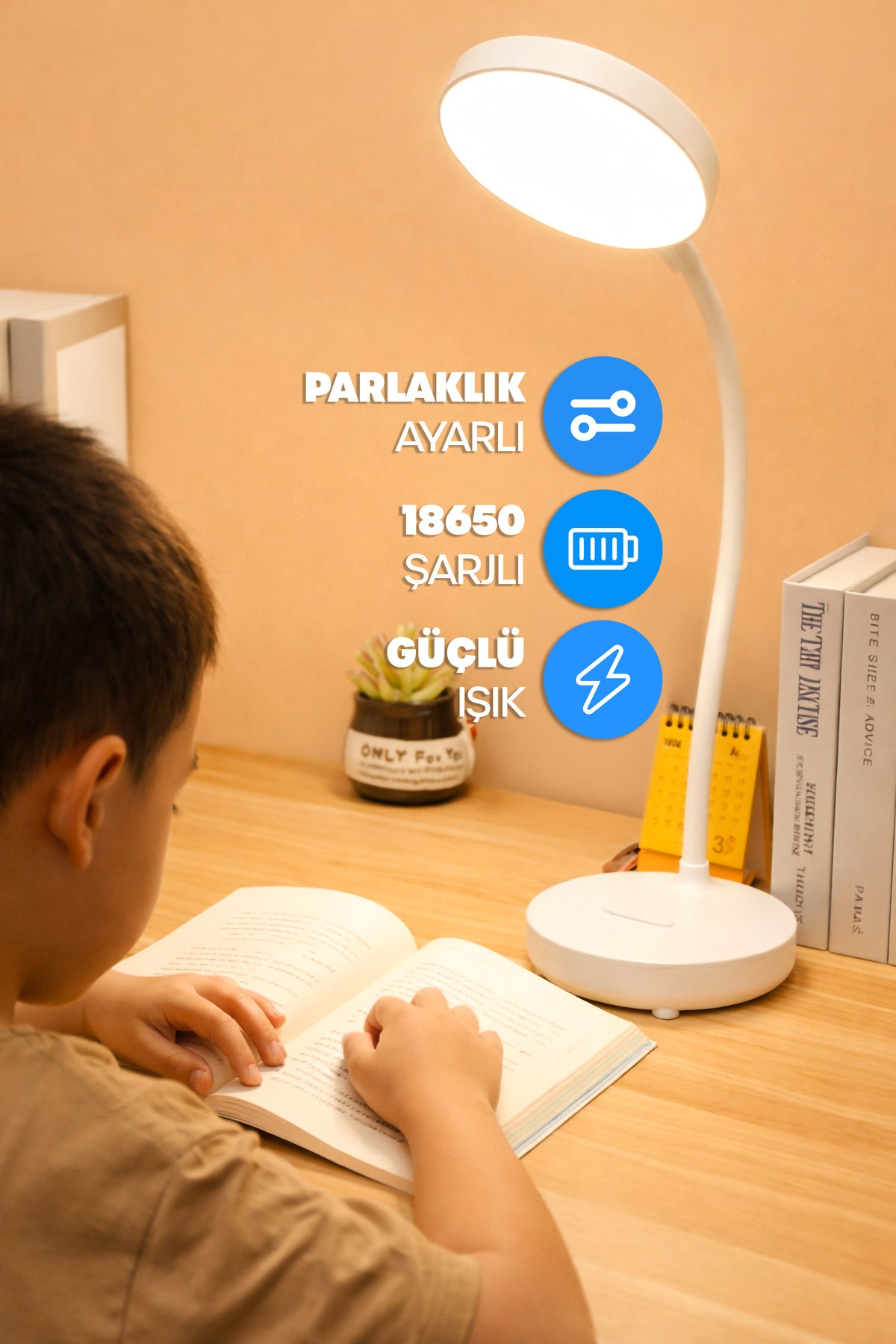 Şarjlı Masa Lambası Işık Ayarlanabilir Telefon Tutuculu Ders Çalışma Okuma Işığı Beyaz Işık 0644