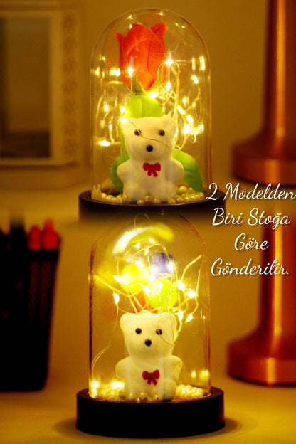 3 Modlu Led Işıklı Fanus İçinde Beyaz Ayıcık Detaylı Sevgiliye Hediyelik Dekoratif Gece Lambası