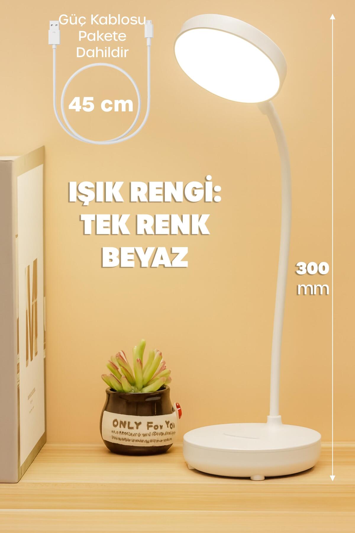 Şarjlı Masa Lambası Işık Ayarlanabilir Telefon Tutuculu Ders Çalışma Okuma Işığı Beyaz Işık 0644