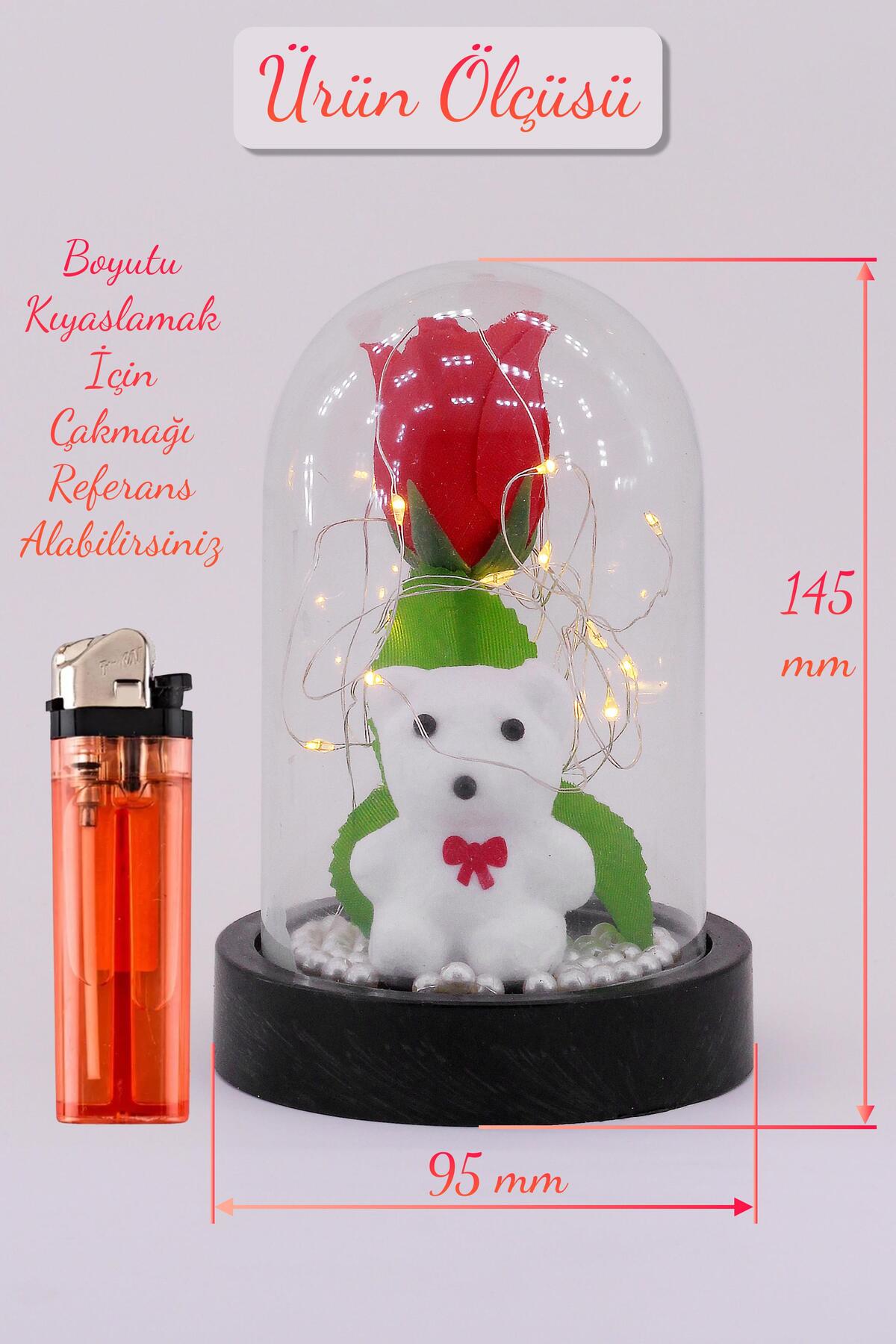3 Modlu Led Işıklı Fanus İçinde Beyaz Ayıcık Detaylı Sevgiliye Hediyelik Dekoratif Gece Lambası