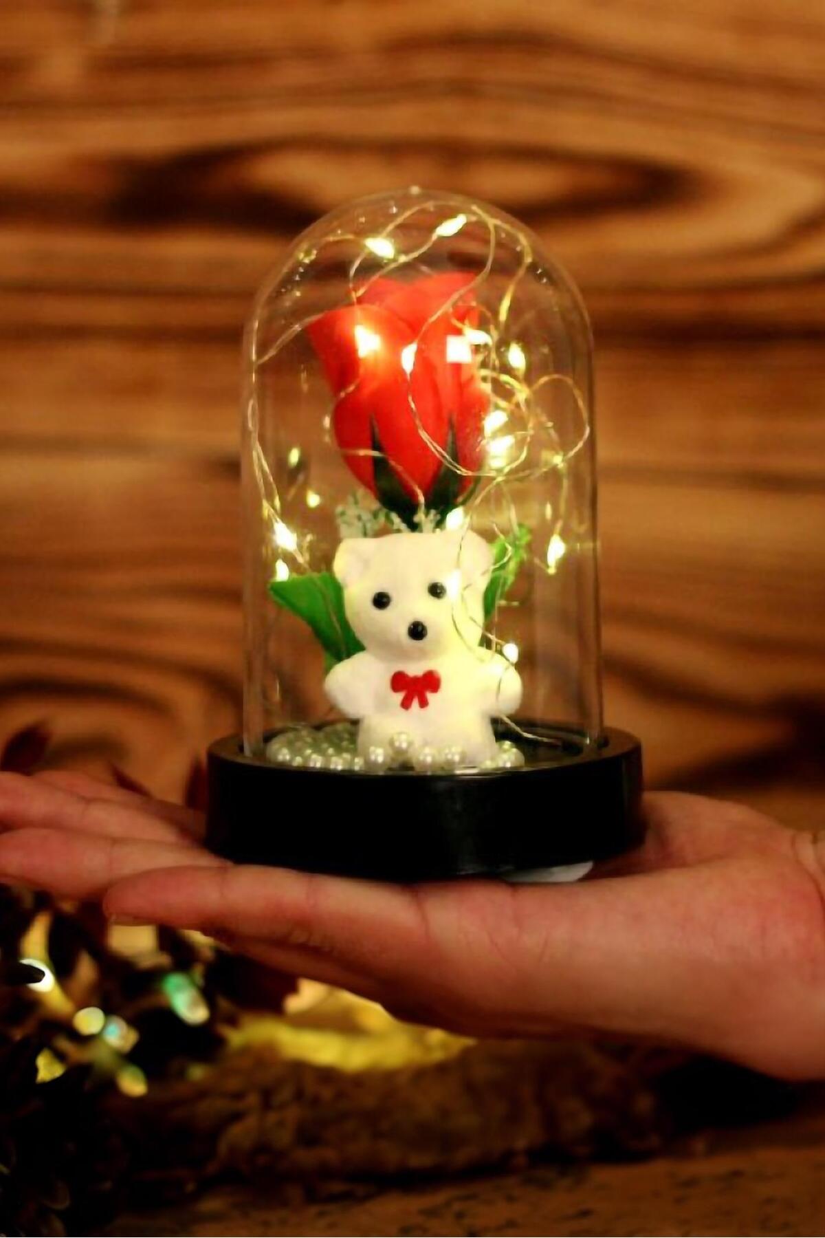 3 Modlu Led Işıklı Fanus İçinde Beyaz Ayıcık Detaylı Sevgiliye Hediyelik Dekoratif Gece Lambası