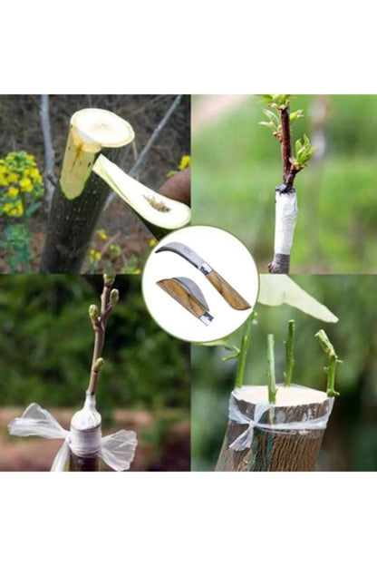 Bayram Aşı Bıçağı 10 Adet Bağ Bıçağı Paslanmaz Ceviz Aşı Çakısı 22 Cm No 3