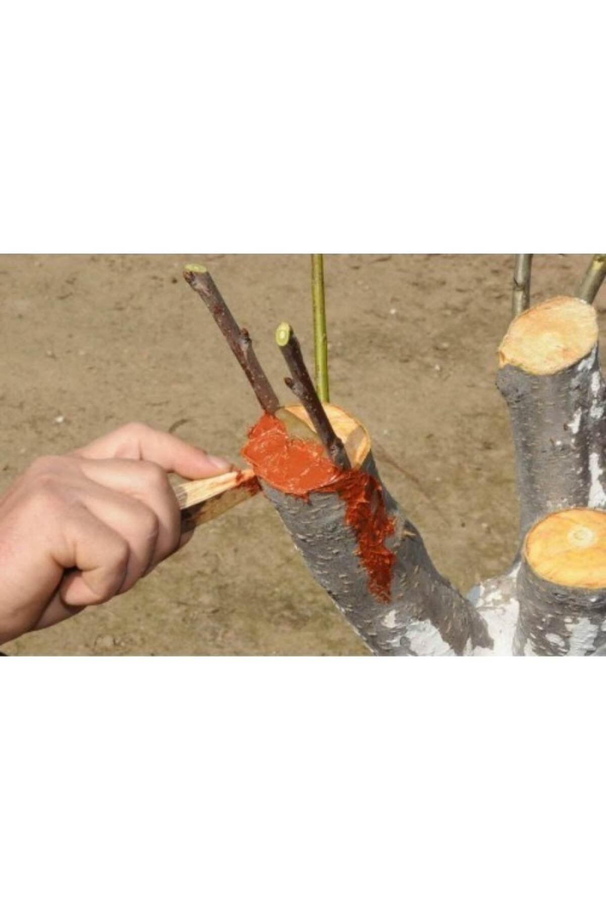 Eks Aşı Ve Budama Macunu 250 gr