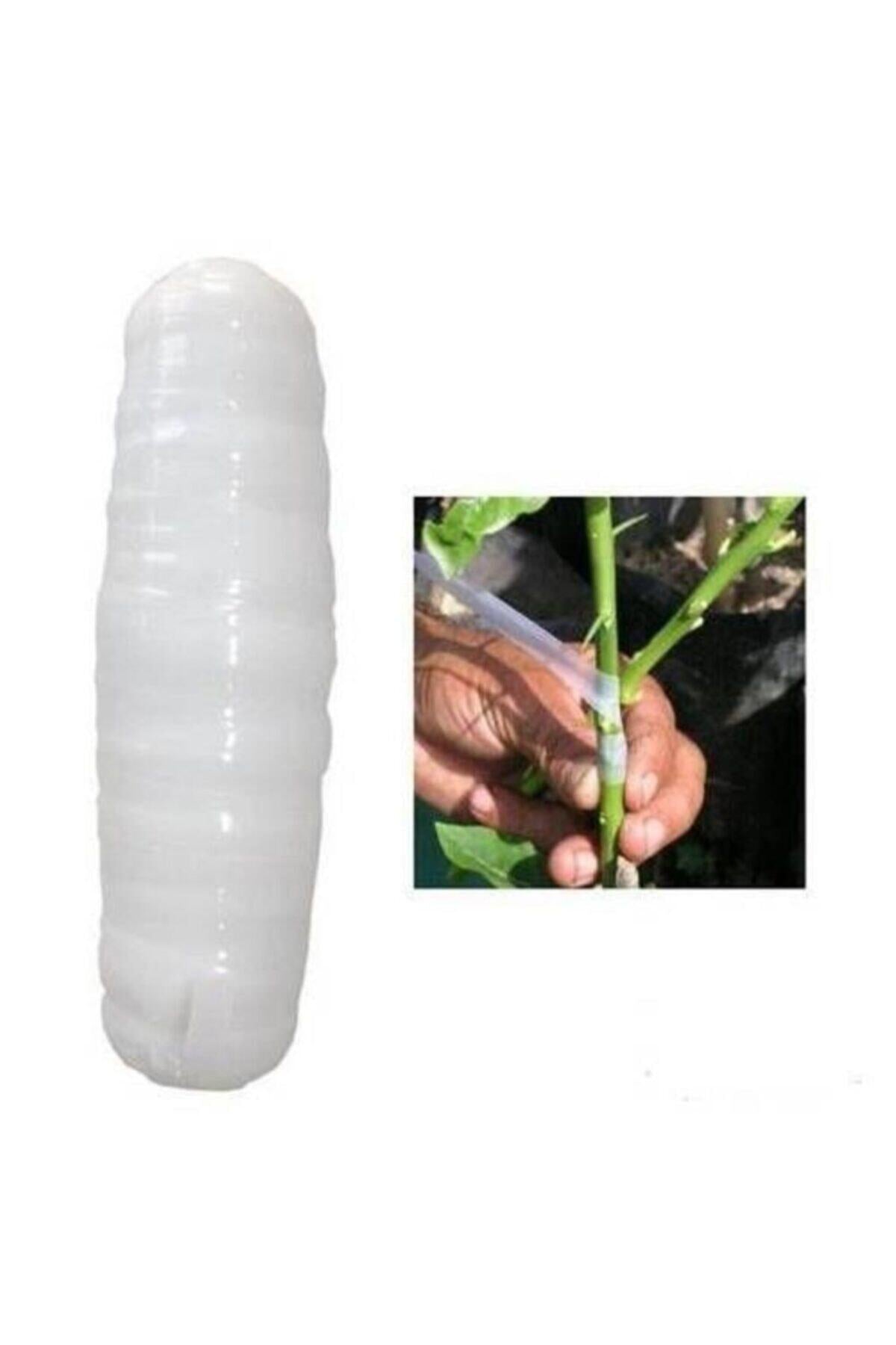 Aşı Bıçağı Paslanmaz 22 Cm No:3 Aşı Bandı (3'LÜ AŞILAMA PAKETİ)