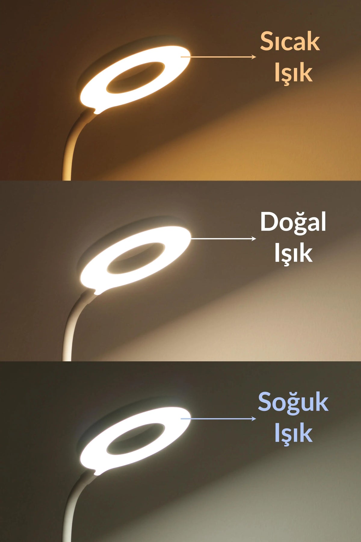 Şarjlı Masa Lambası Dokunmatik 3 Renk 24 Led Telefon Standlı Kademeli Çalışma Okuma Işığı Lambası